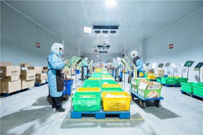 淳百味 傳承與創新并舉，邁入沙縣小吃食品經營新征程